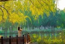 韩国国家联赛比分足球-韩国国家联赛比分背后，足球激情与竞技风云的交织